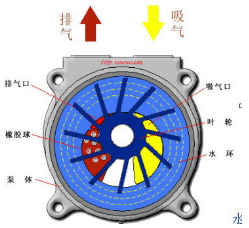 水環(huán)真空泵的結(jié)構(gòu)原理圖