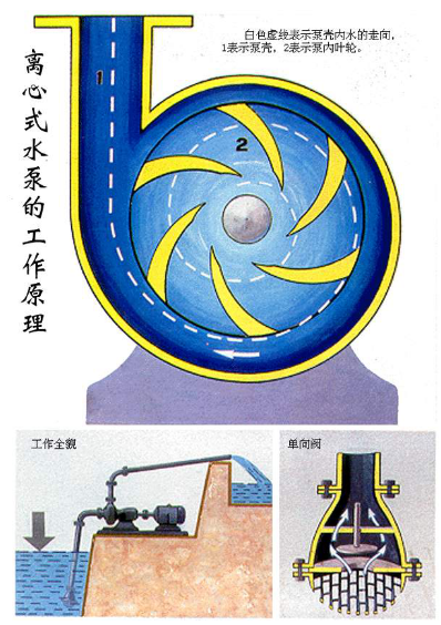 濾布沖刷水泵的結(jié)構(gòu)原理圖