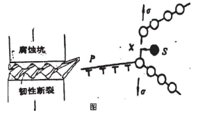 離子S吸附在裂紋原子上圖
